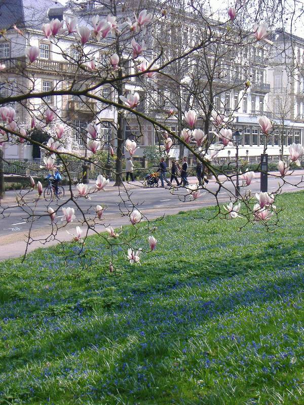 Fruehling in Baden Baden (4) 
